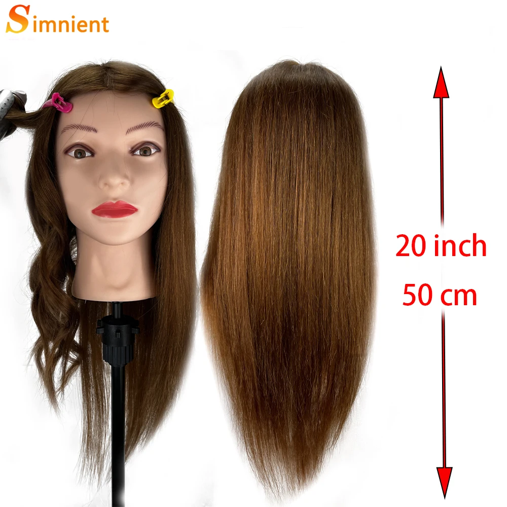 cosmetology mannequin head 100 human hair