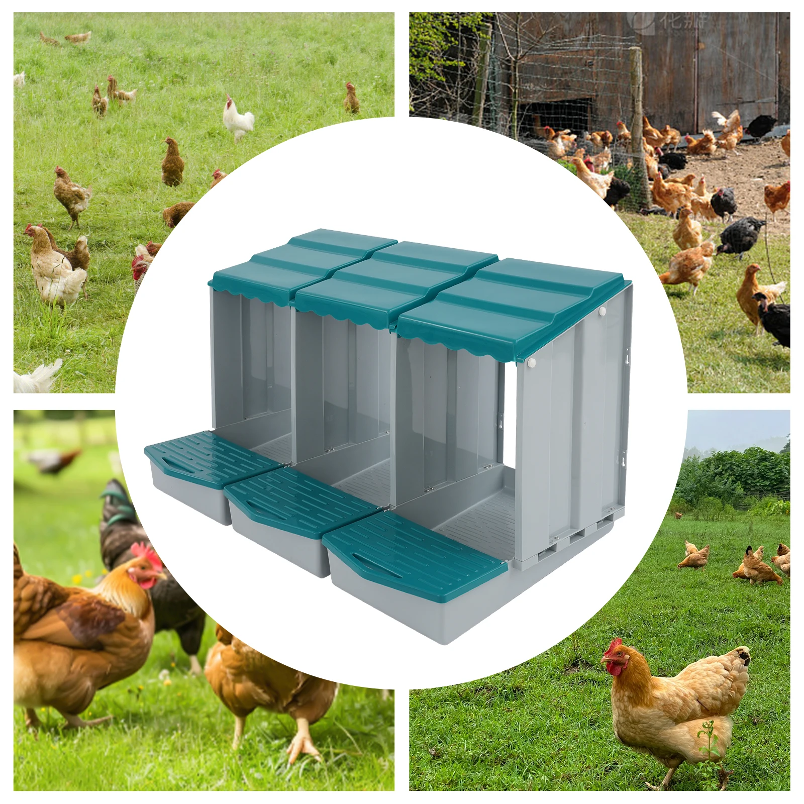 3-Compartment Chicken Nesting Box 3