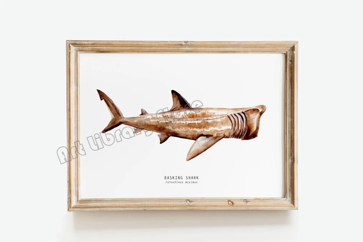 Marine Life Ocean Animals Canvas Art Poster - Whales, Sharks, and Turtles