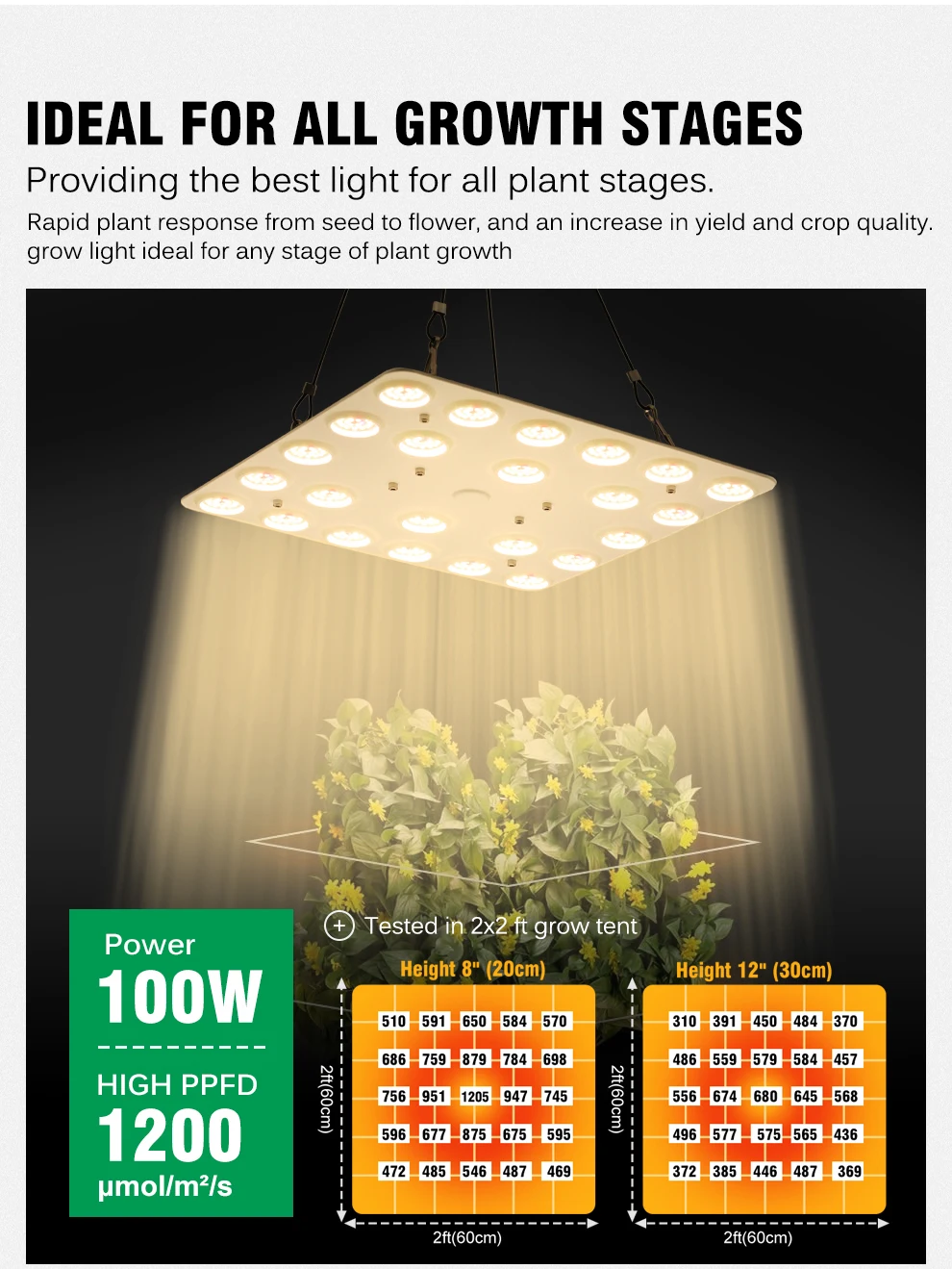 LED-Wachstumslampe Vollspektrum 100-277V 100W 200W Dimmbar SMD281b Phytolampe für Hydrokultur-Pflanzen Zelt Gewächshaus Gemüse Blumen – Detail 3