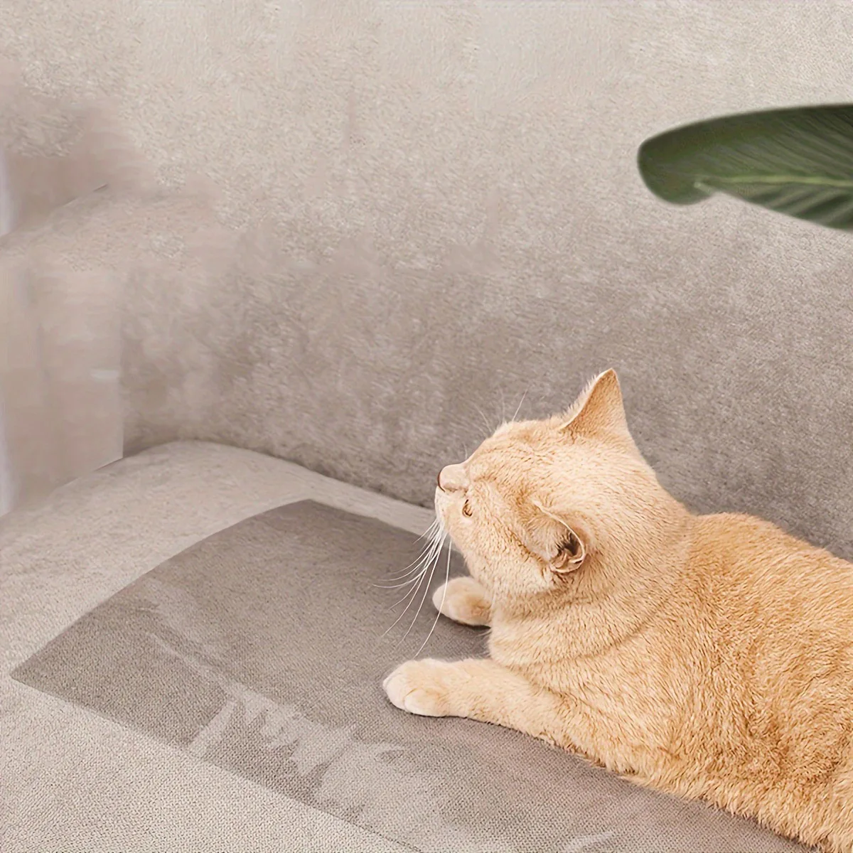 Safe Invisible Cat Scratch Protectors Couch Saver Tape