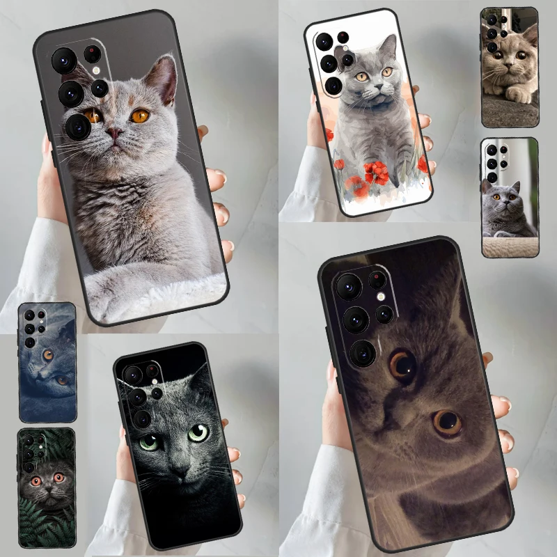 Custodia British Shorthair Cat Per Samsung Galaxy S23 S22 Plus Ultra S21 S20 Fe S8 S9 S10 Note10 Note 20 Ultra Cover