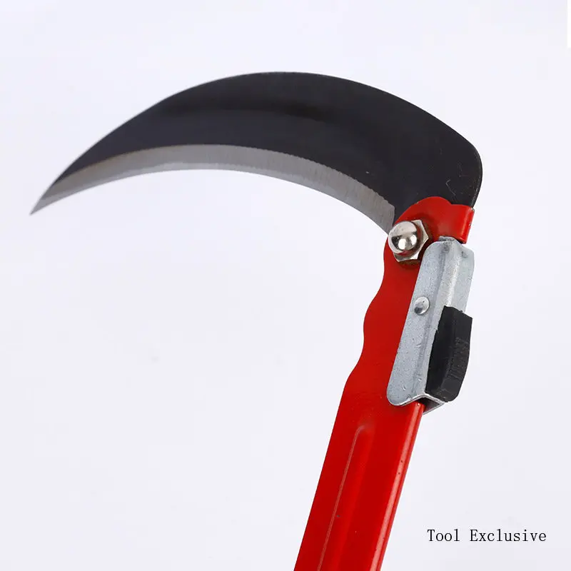 Slide image d98ccc5197ce4cac867aabbfe6a069a8