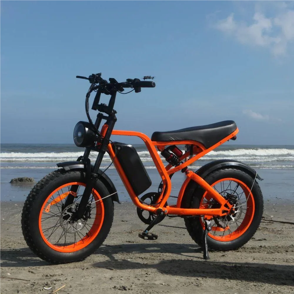 US Stock! 20'' Adults Electric Bike 1500W Motor 52V 20AH 80 Miles 32MPH IP65 Waterproof Electric Bicycle Mountain Snow Ebike