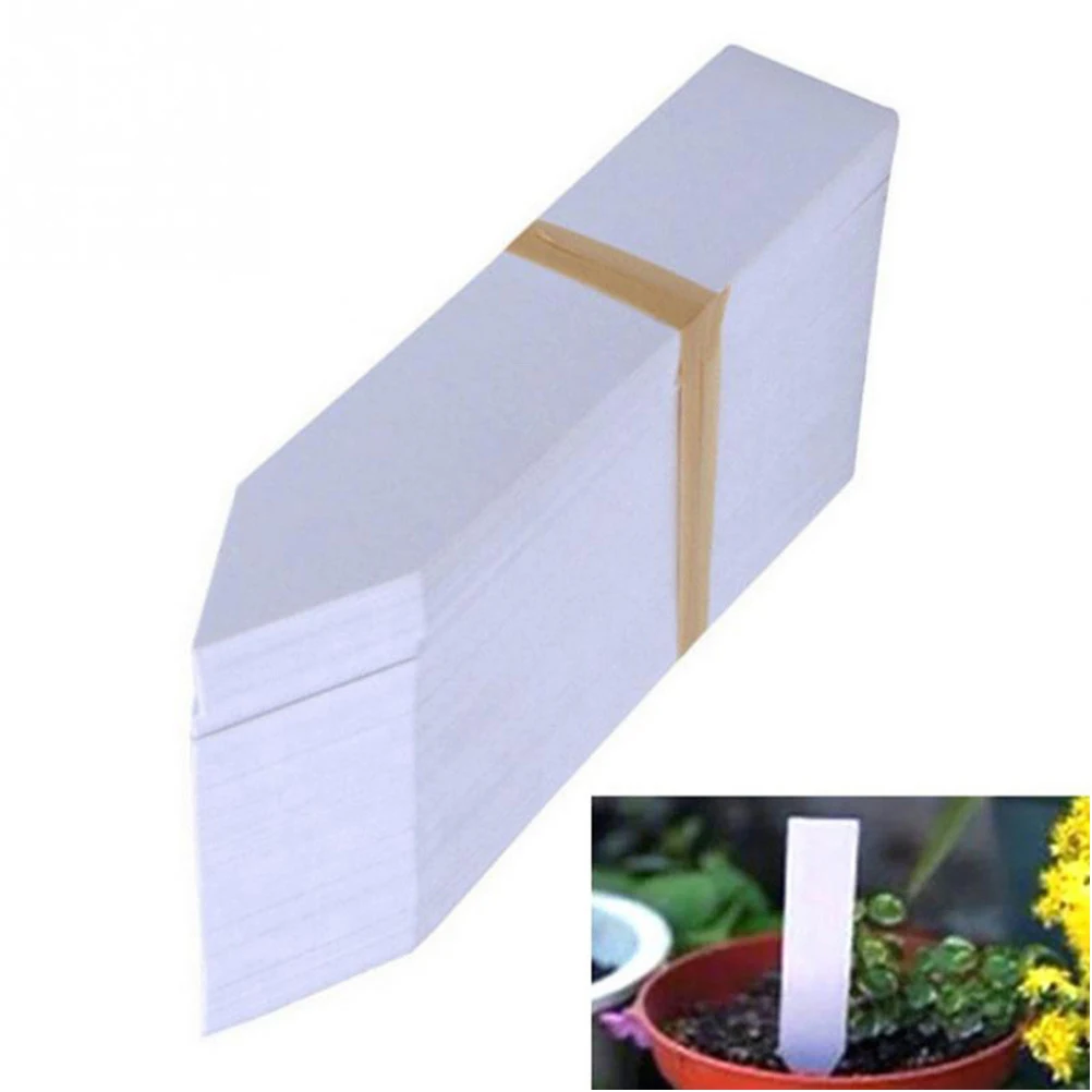 Description Picture 4 of item100Pcs Plants Labels Indoor Bonsai Name Tag Plastic Stake Type Kindergarten Flower Pot Plants Garden Ornaments Markers 10x2cm