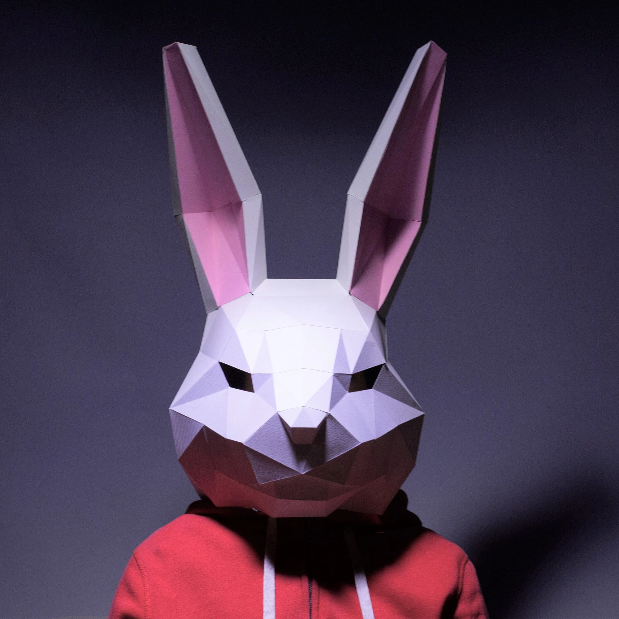 Folded Rabbit Mask Sf745358a91bd4d448b705ca8ee033f9ay.jpg