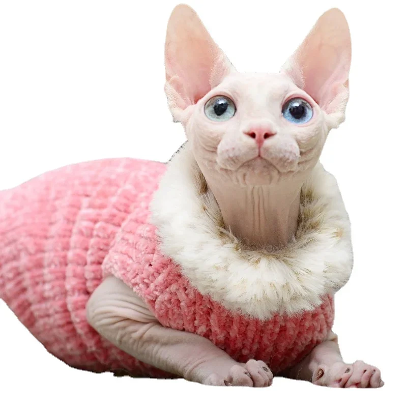 

Hairless Cat Sphinx Cat Thermal Vest Gold Velvet Faux Mink Collar Handmade Cat Sweater