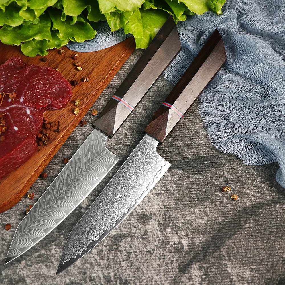 

67 Layer Damascus Steel 10Cr15CoMoV Core Plate Ebony Handle Kitchen Special Fruit Chef EDC Tool Knife