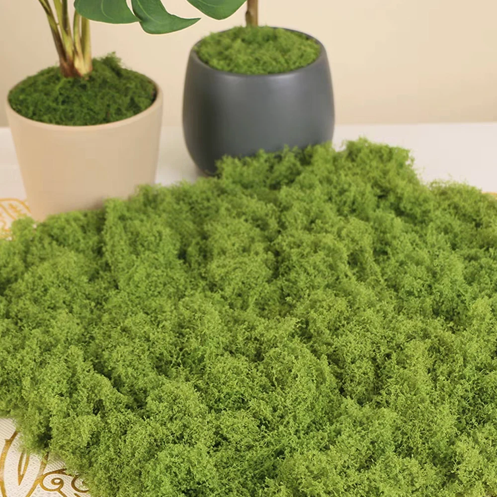 500/30G Artificial Green Plants Eternal Life Moss Mini Landscape Fake Grass DIY Crafts Grass Garden Home Room Potting Decoration 4