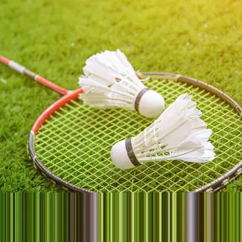 12 Pack Badminton Duck Feather Badminton Shuttlecocks With Good Stability And Toughness for Youth Players Indoor and Outdoor 4