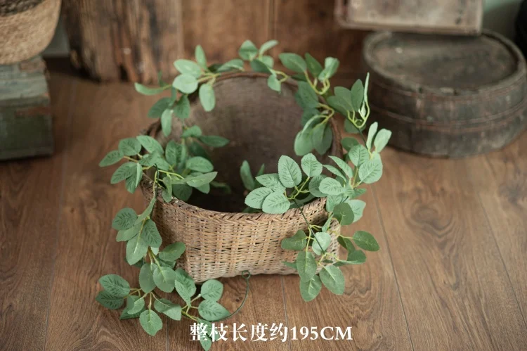 Newborn Photography Prop Basket Stuffer Simulated Green Plants Accessorie Christmas Daisy Rattan Strip Vine Studio Shooting Flow cheap newborn photography near me