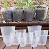 10/50pcs Transparent Nursery Pots with Drainage Hole Seed Starting Pot Flower Plant Container Gardening Planting Nutrition Cups 2