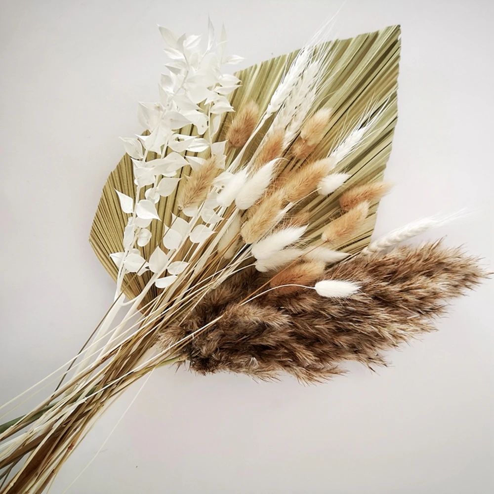 Erba Di Pampa Essiccata - Bouquet Fiori Secchi Per Decorazione, Matrimoni, Stile Boho - Foto 6