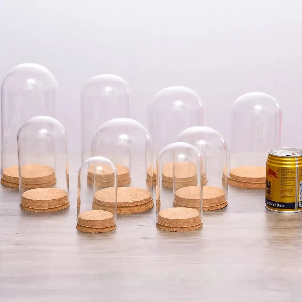 1X Mix Size Micro Landscape Eternal Transparent Flower Glass Cover DLY Cover Glass Dome On Cork Base Home Office Table Decor