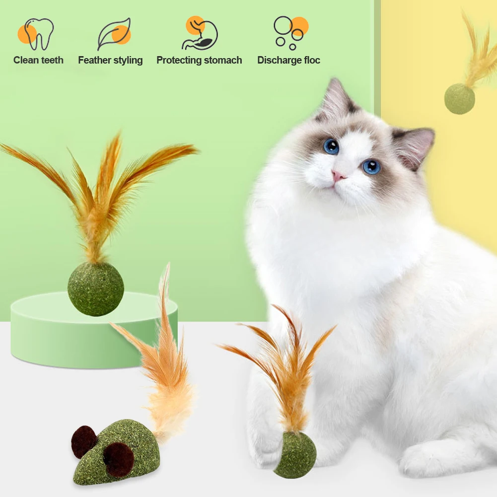 Cute Shape Freshen Catnip Ball Toy Cat Licking Playing Snacks Cat Mint Breath Mint Lollipop Toy Cat Supplies Pet Digesting Tool