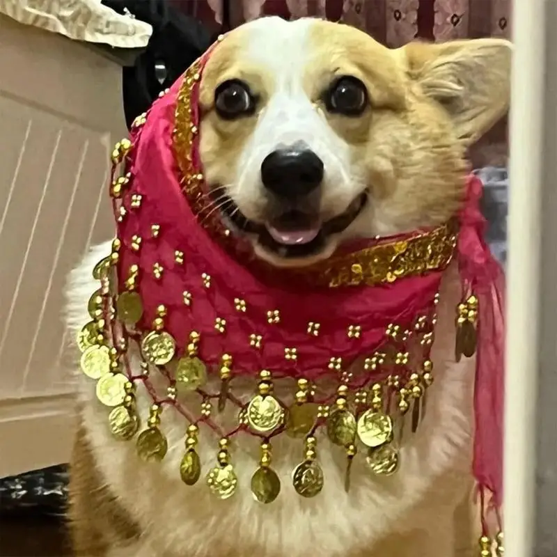 Dance Skirt For Dogs Puppy Shaking Hip Dance Hip Scarf Puppy Belly Wrap Belt With Dangling Gold Coin For Music
