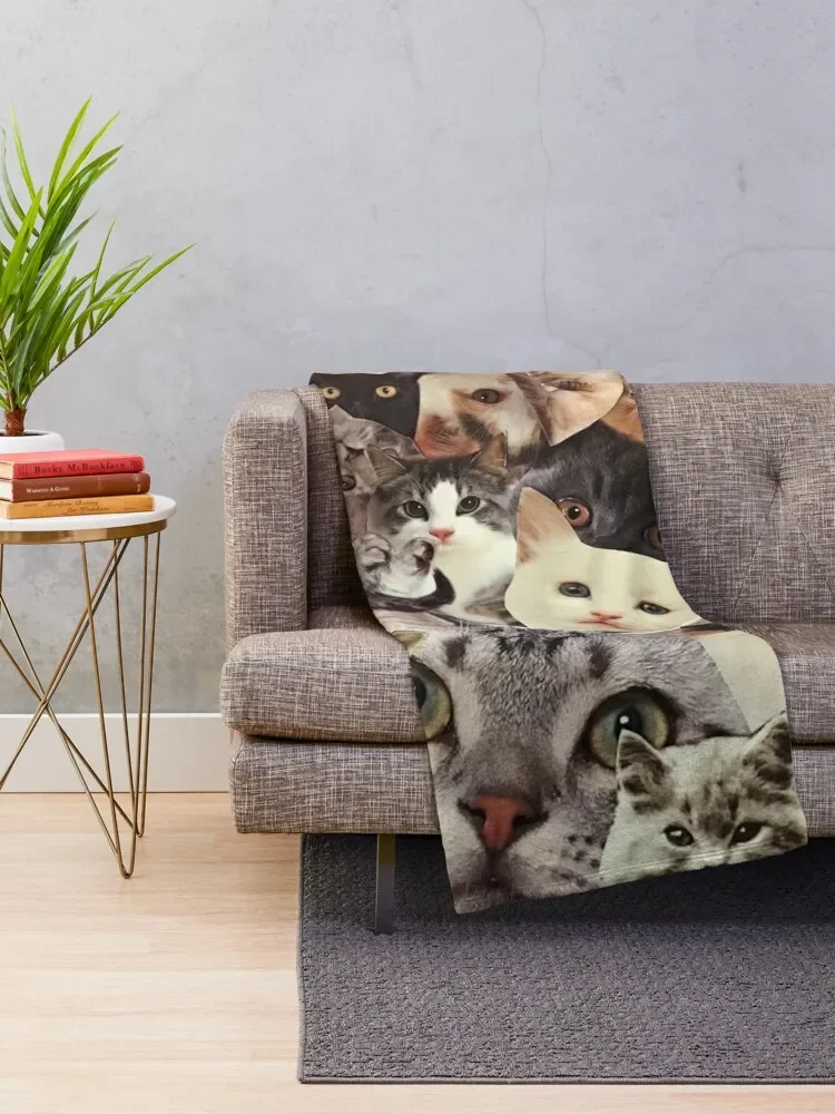 ������ �ݶ��� ������ ���, �̵� ħ�� ���, ����