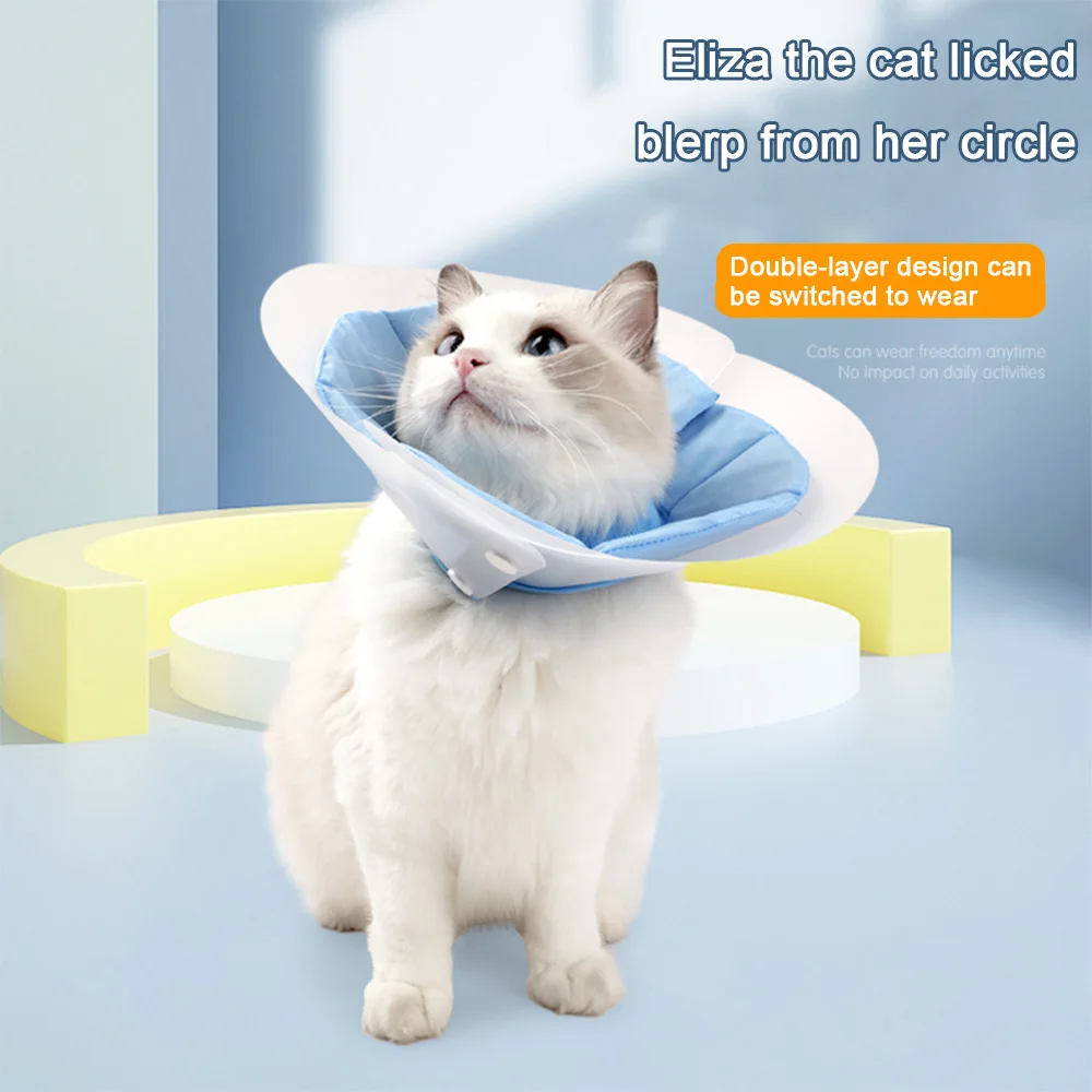 Dual-Layer Cat Recovery Cone