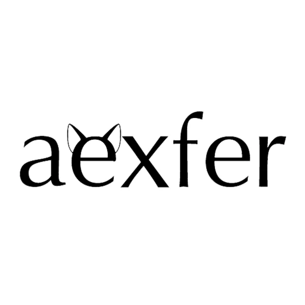 Aexfer Shoes Accessories Store