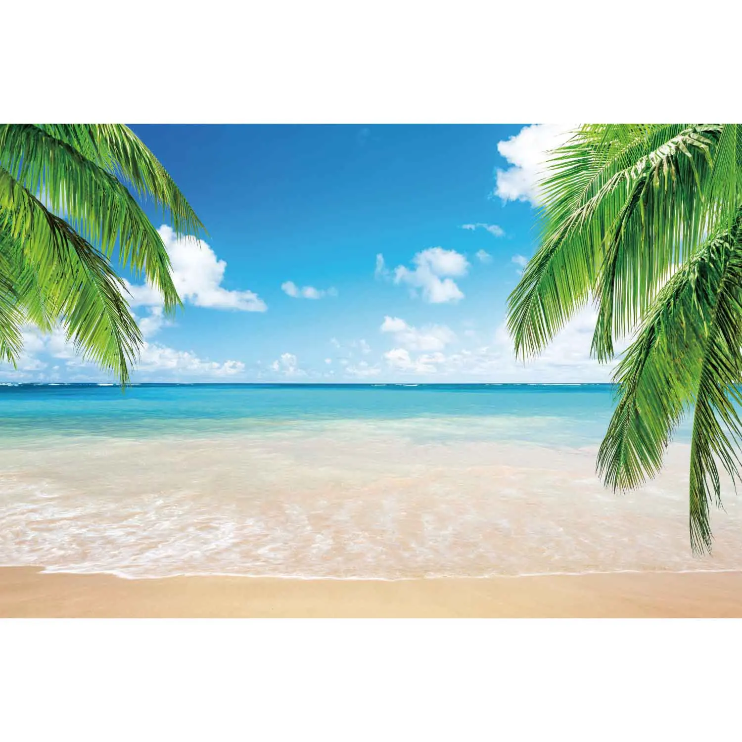thumbnail image 1 of MOON.QG Fondo de fotografía de playa con puesta de sol en el océano azul, fondo de fotografía de verano tropical, palmera, ola, arena, barco, retrato, 1 of 5
