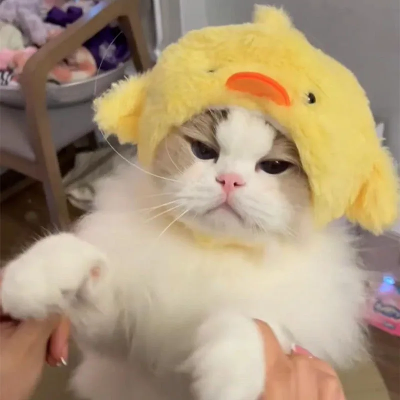 Playful Cat Headpiece Image 5