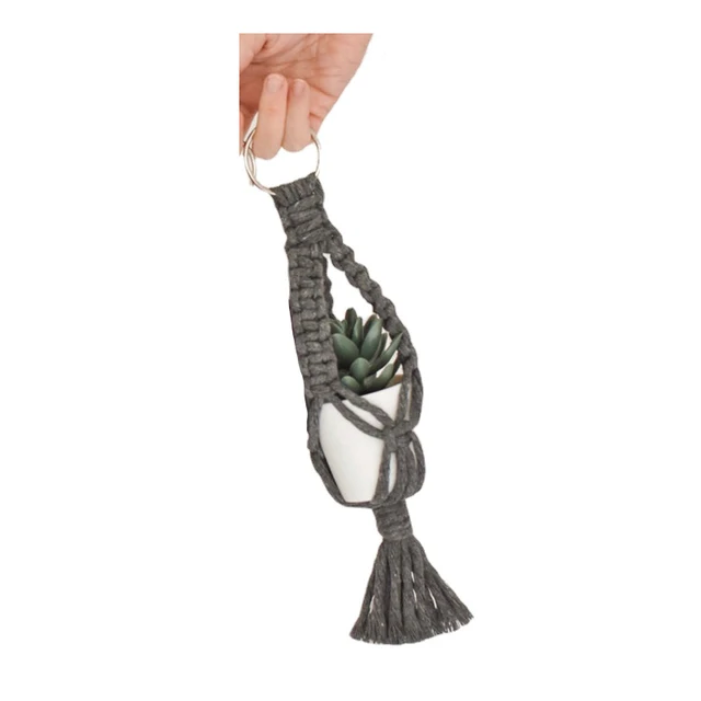 Air Plant Holder 08