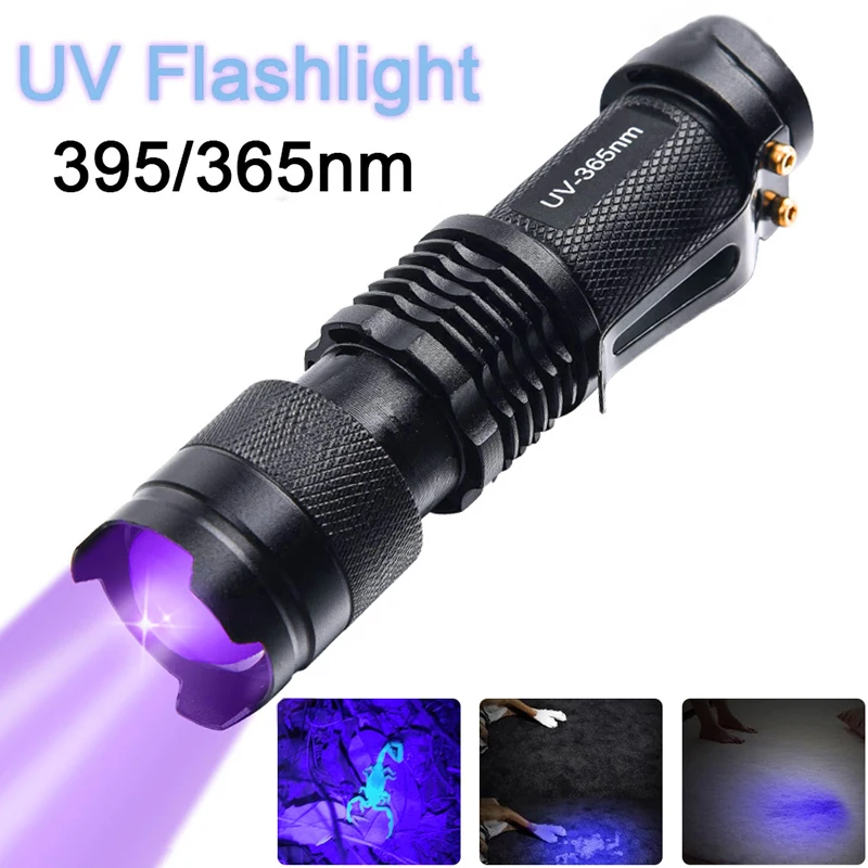 SEEYOO-lampe violette portable 395nm torche ultra violette lumière noire  détecteurs de scorpion d'urine pour animaux de compagnie Mini lampe de  poche LED UV