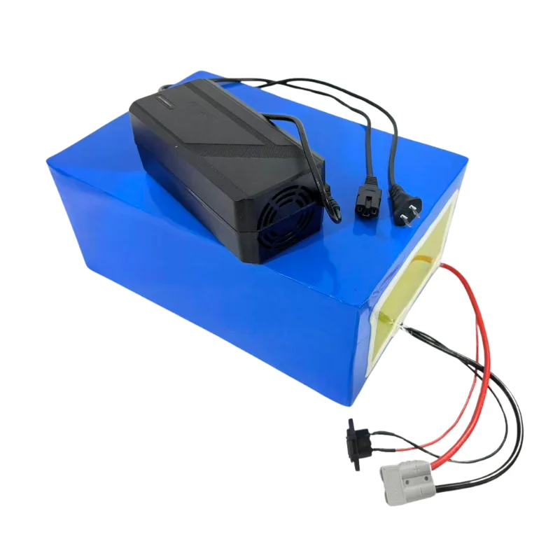 84V 30Ah Rechargeable Battery Pack with Smart BMS and 5A Charger