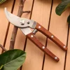 Solid Wood Shears Carbon Steel Sharp Curved Pruners Plant Grafting Floral Trimming Non-Slip Handle Garden Manual Scissors 3