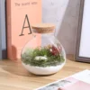 Desktop Micro-landscape Bottle Vase Empty DIY Cork Plant Terrarium Decorative Landscaping Container Glass Jar with Lid 2025 NEW 3