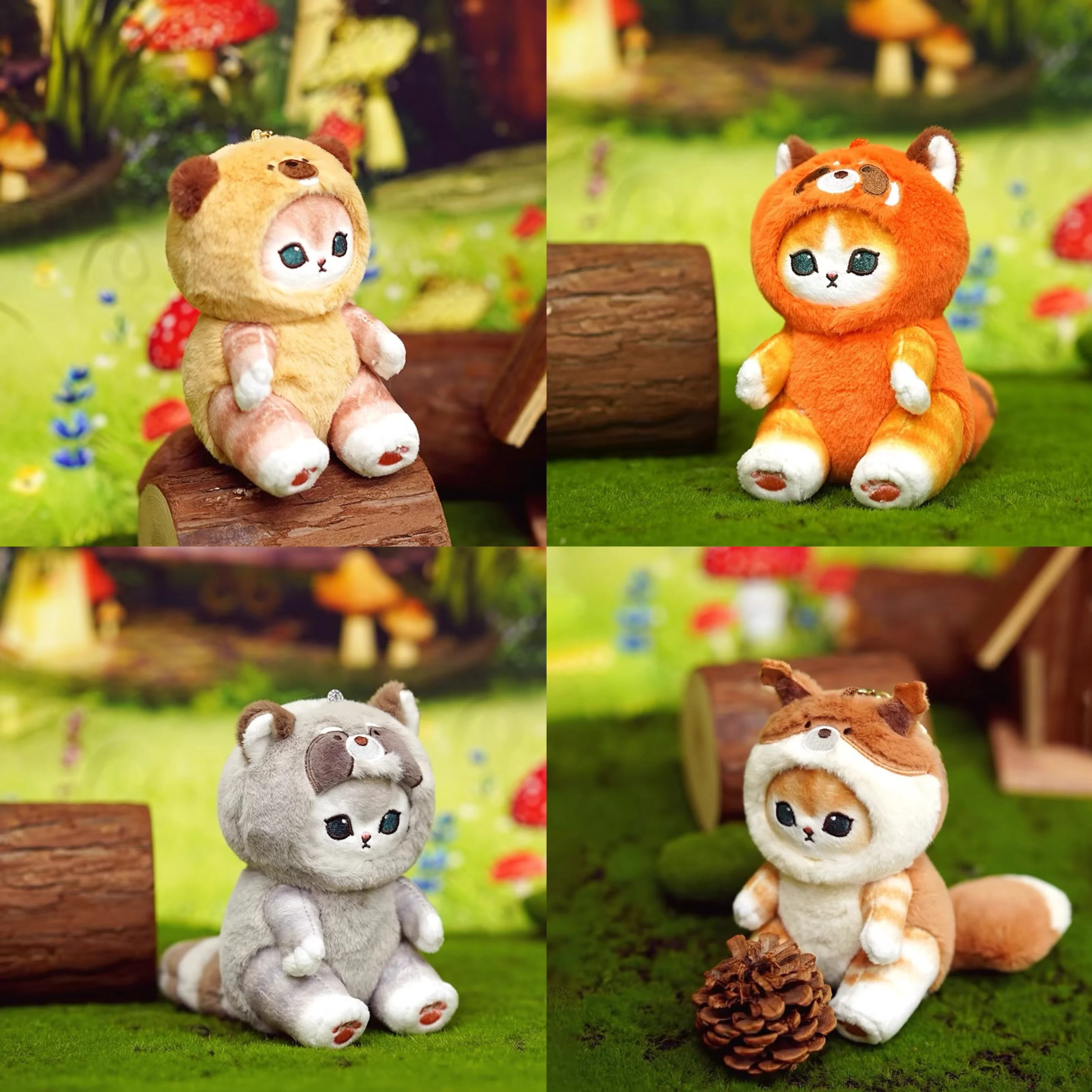 dsc-products