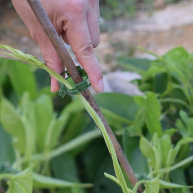 100 db Műanyag Növényi Klipek Támogatók Csatlakoztassa A Klipeket Csathorog Újrafelhasználható Tartó Oltó Rögzítő Szerszám Kertészkedés - Image 4