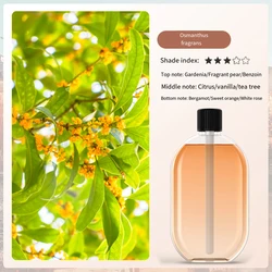 Aromatherapy Essential Oil Plant Extract - 40ml Natural Flower Room Fragrance - E