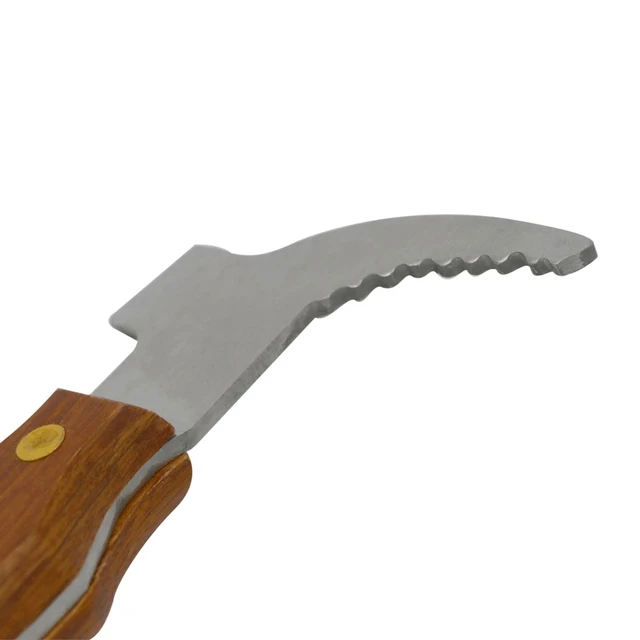 Méhész Többfunkciós Fa Fogantyú Horoggal Megvastagodott Kaparó Pigtail Mézkés Méhkas Szerszám - Image 4