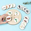 Life Cycle Board Children Toy Montessori Teaching Aids Plant Animal Growth Cycle Model Set preschool cognitive Toys 1