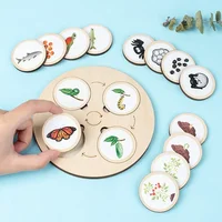 Life Cycle Board Children Toy Montessori Teaching Aids Plant Animal Growth Cycle Model Set preschool cognitive Toys 1
