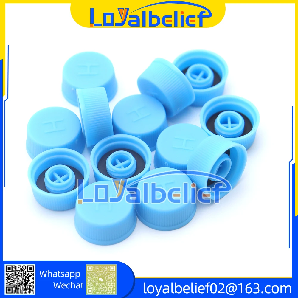 31PCS Car AC Valve Cap Kit - Low & High Pressure Port Dust Covers With Internal Washers