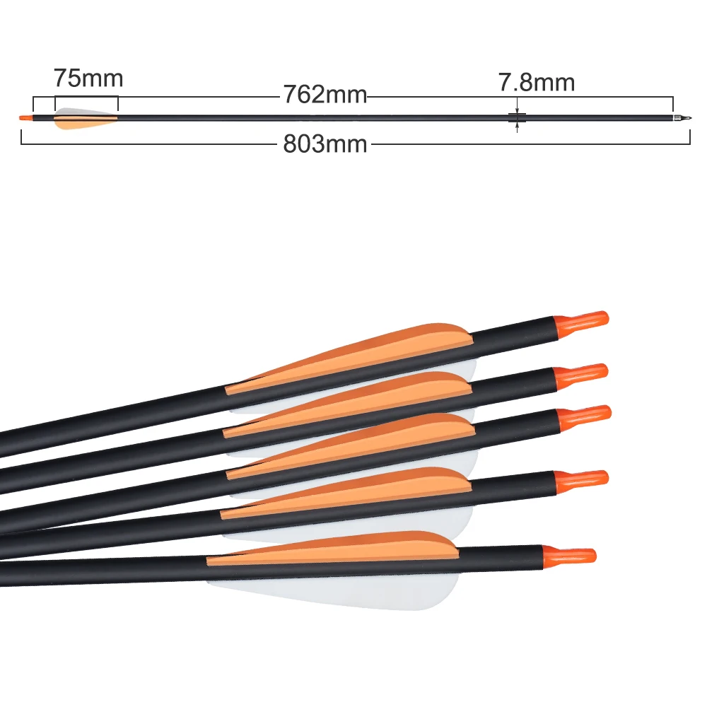 Lot De 12 Flèches Carbone 31 Pouces - SP500 - Plumes Dinde - Pour Chasse à L'arc - Multicolore