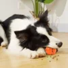 Dog Interactive Chew Treat Dispensing Ball - Self-Play, Boredom Relief, Bite-Resistant, Teeth Cleaning Pet Toy, 3