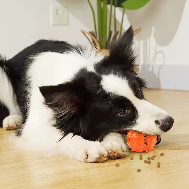 Dog Interactive Chew Treat Dispensing Ball - Self-Play, Boredom Relief, Bite-Resistant, Teeth Cleaning Pet Toy, 3