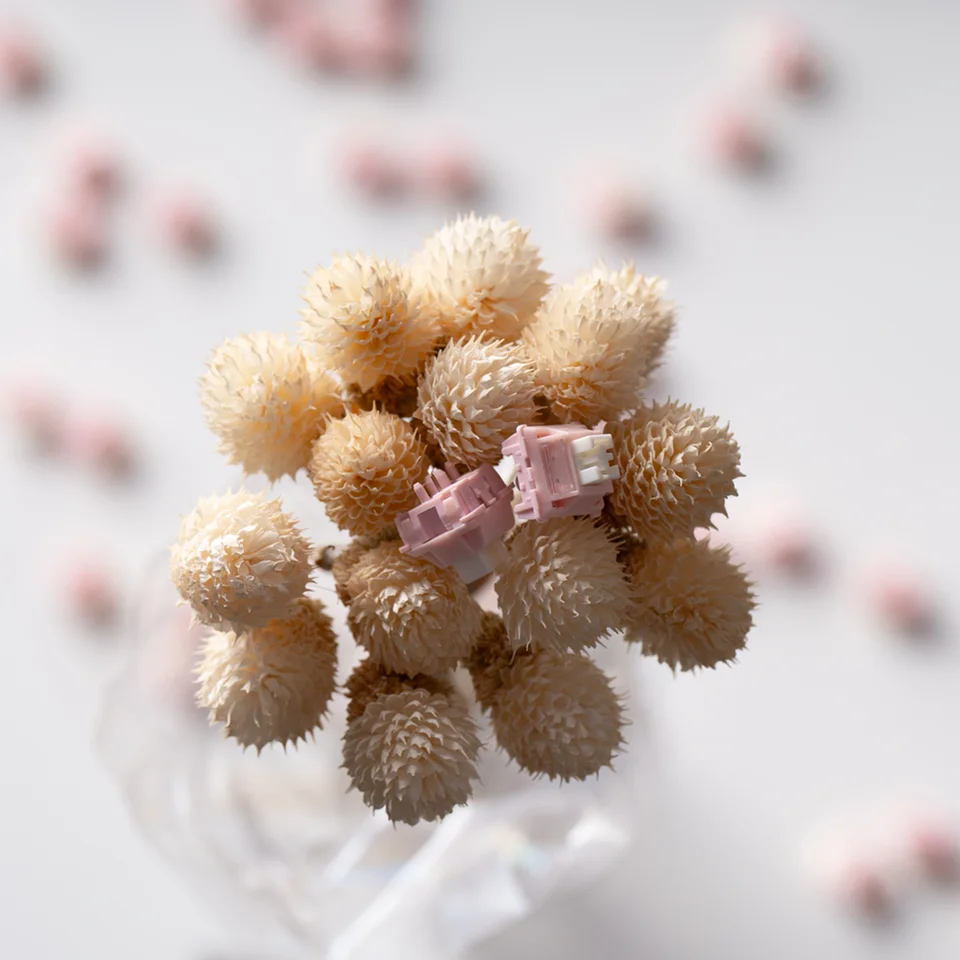 Sf770403830e64f318958270244e04