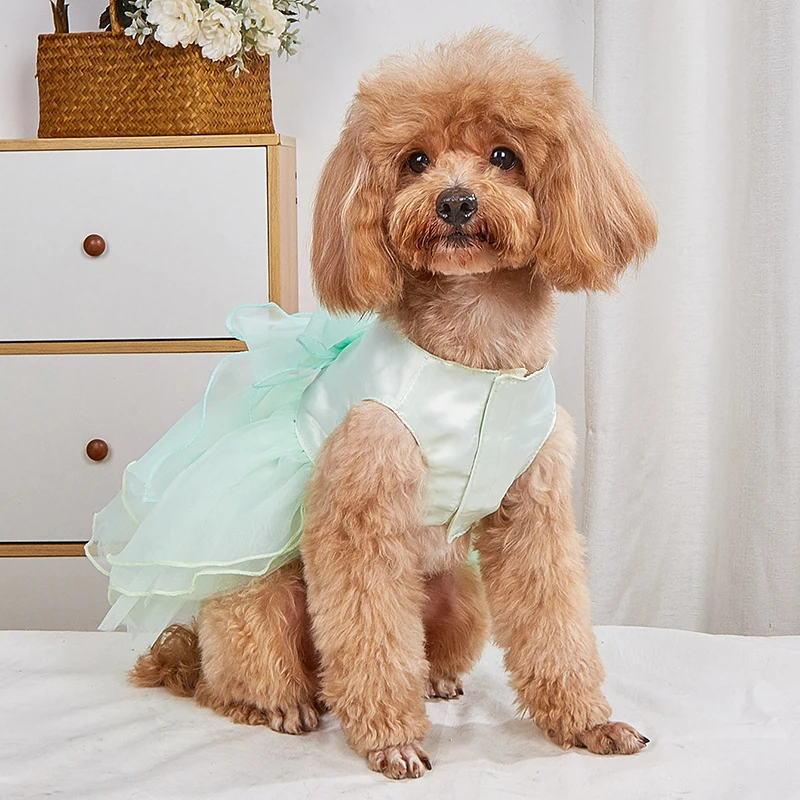 Luxury Pet Party Dress 3
