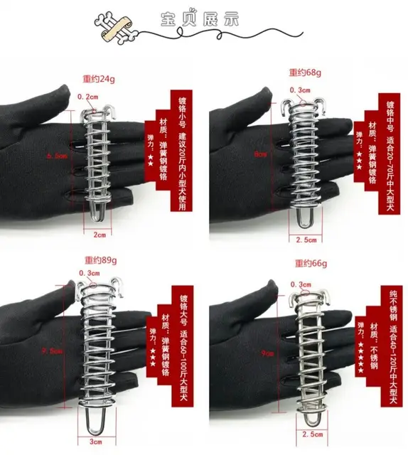 안전하고 편안한 개 산책