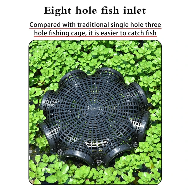 Filet de pêche professionnel pliable et automatique, pour Minnow,  crevettes, anguille, crabe, Cage à mailles, piège - AliExpress