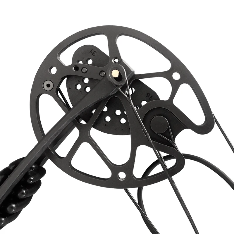 Compound Bow 5