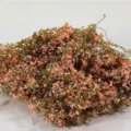 Pink  5g