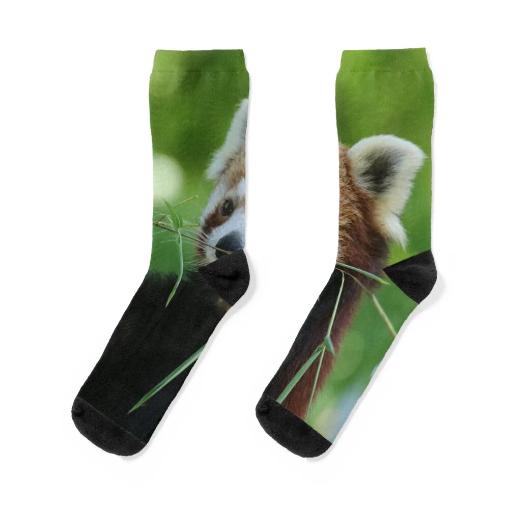 Red Panda 002 Socks anti-slip christmas gifts short Heating sock Socks For Women Men's