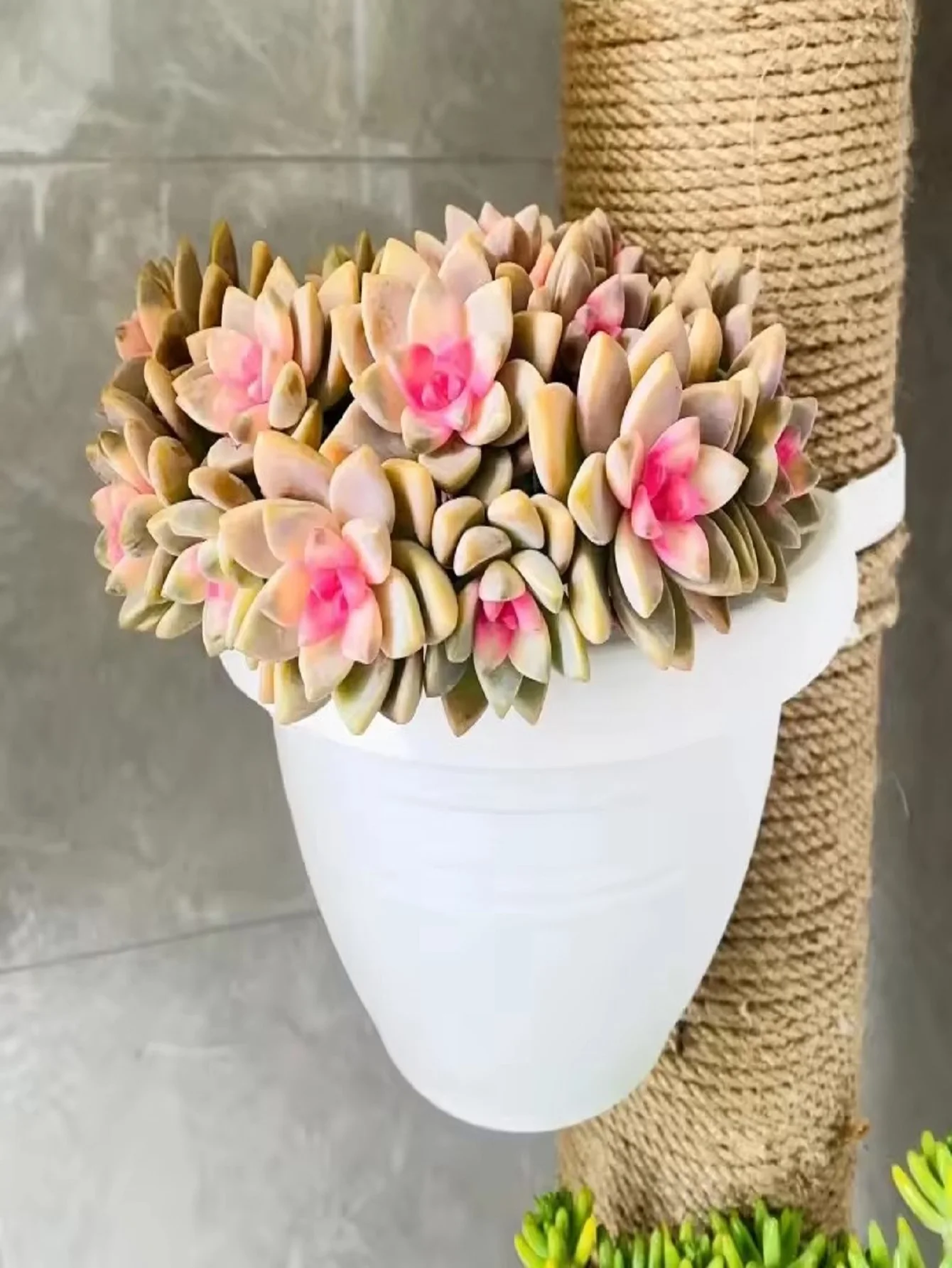 Vaso de flores pendurado cesta criativa armazenamento calha downspout vaso de flores interior &uacute;til corrim&atilde;o pendurado plantador flower pot plant pot