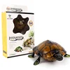 RC animal toys remote control simulation small tortoise crawl plaything electric sports infrared realistic walking glow gift boy 3
