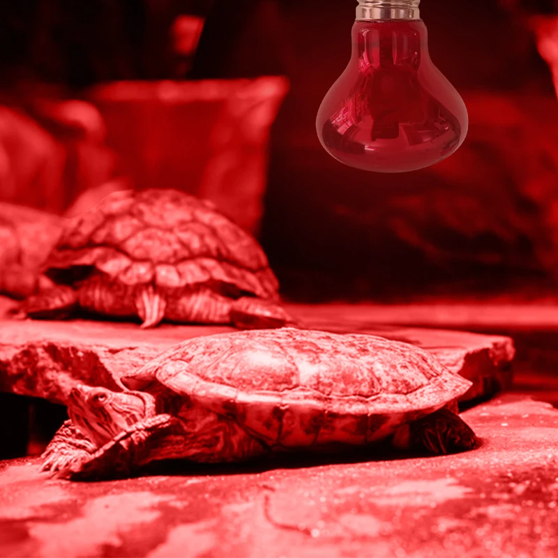 Pet Heating Lamp E27 Day Night Amphibian Snake Reptile Bulb UV Light 25W 50W 75W 100W AC220-240V